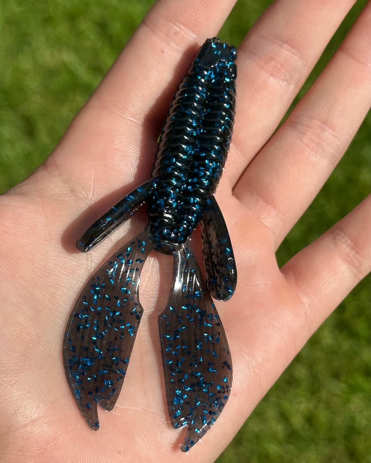 Reel Bugs