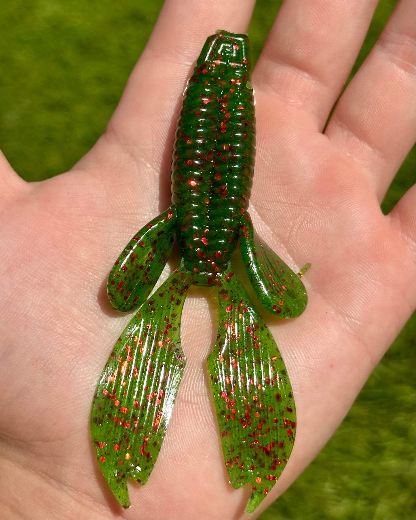 Reel Bugs